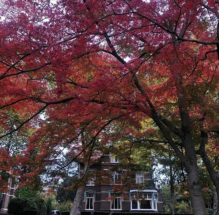 B&B Villa Anna, Venlo Dış mekan fotoğraf